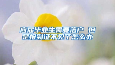 应届毕业生需要落户 但是报到证不见了怎么办