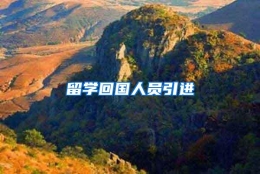 留学回国人员引进