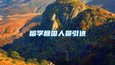 留学回国人员引进