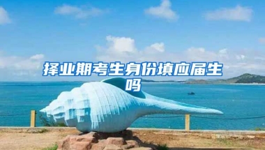 择业期考生身份填应届生吗