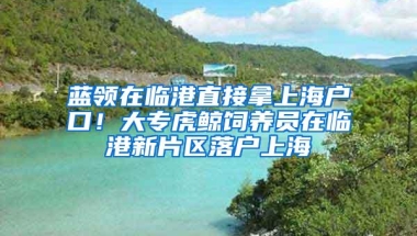 蓝领在临港直接拿上海户口！大专虎鲸饲养员在临港新片区落户上海