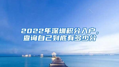 2022年深圳积分入户，查询自己到底有多少分
