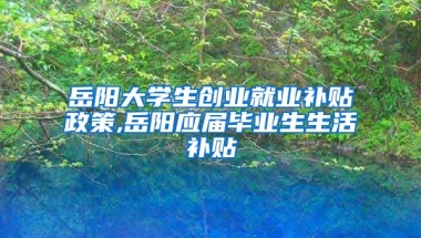 岳阳大学生创业就业补贴政策,岳阳应届毕业生生活补贴