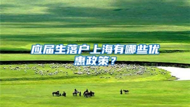 应届生落户上海有哪些优惠政策？