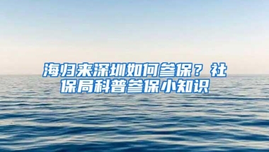 海归来深圳如何参保？社保局科普参保小知识
