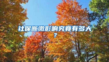 社保断缴影响究竟有多大？