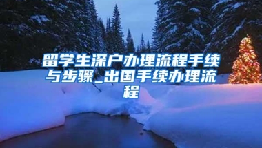 留学生深户办理流程手续与步骤_出国手续办理流程