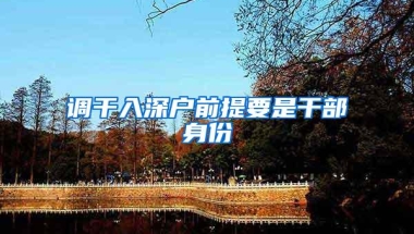 调干入深户前提要是干部身份