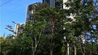 实事求是，深圳集体户口落户要多久的新方法！