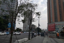 深圳市集体户口地址，这些知识你必备……