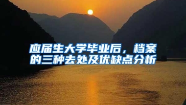 应届生大学毕业后，档案的三种去处及优缺点分析