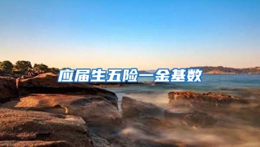 应届生五险一金基数