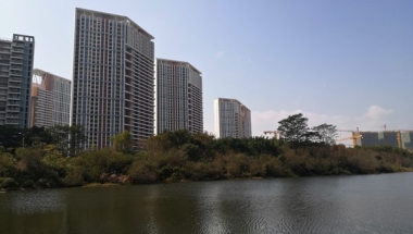 深圳集体户出生入户口怎么办到底是什么，为什么如此多人感到困惑？