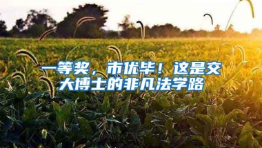 一等奖，市优毕！这是交大博士的非凡法学路