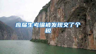 应届生考编被发现交了个税