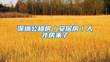 深圳公租房／安居房／人才房来了