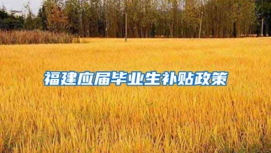 福建应届毕业生补贴政策
