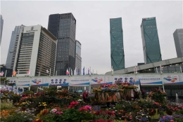 2021年深圳集体户口样本，真不是你们想象的那样！