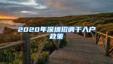 2020年深圳招调干入户政策