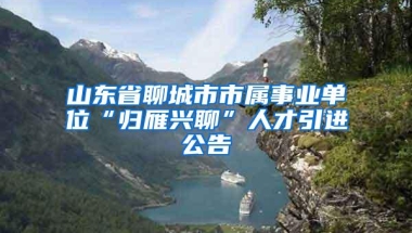 山东省聊城市市属事业单位“归雁兴聊”人才引进公告