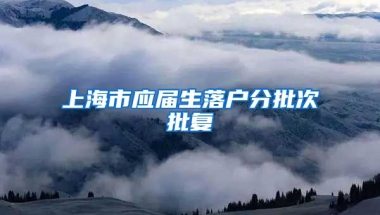 上海市应届生落户分批次批复