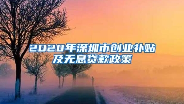 2020年深圳市创业补贴及无息贷款政策