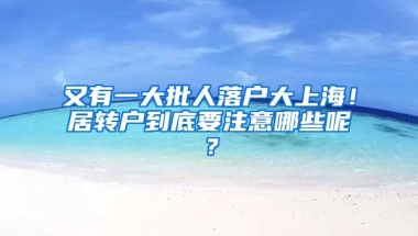 又有一大批人落户大上海！居转户到底要注意哪些呢？