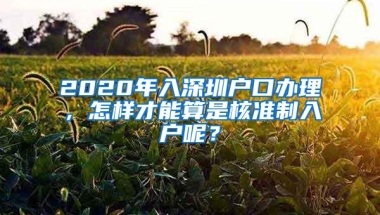2020年入深圳户口办理，怎样才能算是核准制入户呢？