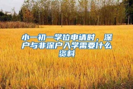 小一初一学位申请时，深户与非深户入学需要什么资料