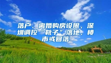 落户、离婚购房设限，深圳调控“靴子”落地，楼市或回落