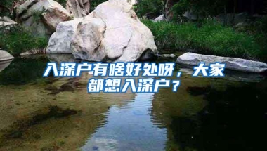 入深户有啥好处呀，大家都想入深户？