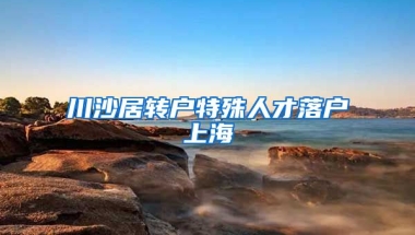 川沙居转户特殊人才落户上海