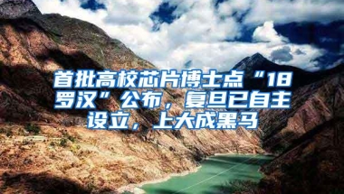 首批高校芯片博士点“18罗汉”公布，复旦已自主设立，上大成黑马