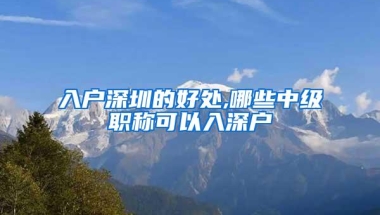 入户深圳的好处,哪些中级职称可以入深户