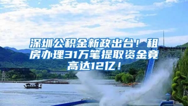 深圳公积金新政出台！租房办理31万笔提取资金竟高达12亿！