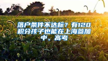落户条件不达标？有120积分孩子也能在上海参加中、高考