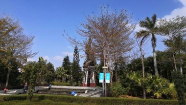 有哪些你了解研究生毕业能入户深圳户口吗以后才知道的事？