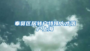 奉贤区居转户特殊人才落户上海