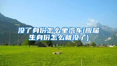 没了身份怎么坐汽车(应届生身份怎么就没了)