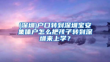 (深圳)户口转到深圳宝安集体户怎么把孩子转到深圳来上学？