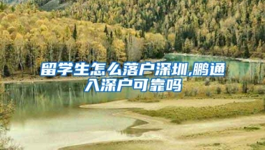 留学生怎么落户深圳,鹏通入深户可靠吗