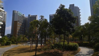 关于留学生落户深圳怎么交社保，我这里有一些实用经验