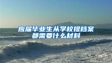 应届毕业生从学校提档案都需要什么材料