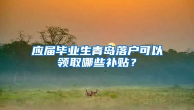 应届毕业生青岛落户可以领取哪些补贴？