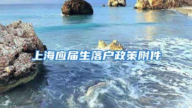 上海应届生落户政策附件
