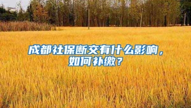 成都社保断交有什么影响，如何补缴？