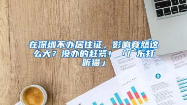 在深圳不办居住证，影响竟然这么大？没办的赶紧！「广东打听猫」