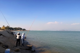 没想到，深圳龙岗集体户口挂靠竟然是这么简单！