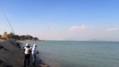 没想到，深圳龙岗集体户口挂靠竟然是这么简单！