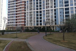 关于研究生直接入户深圳条件方面的重要资料